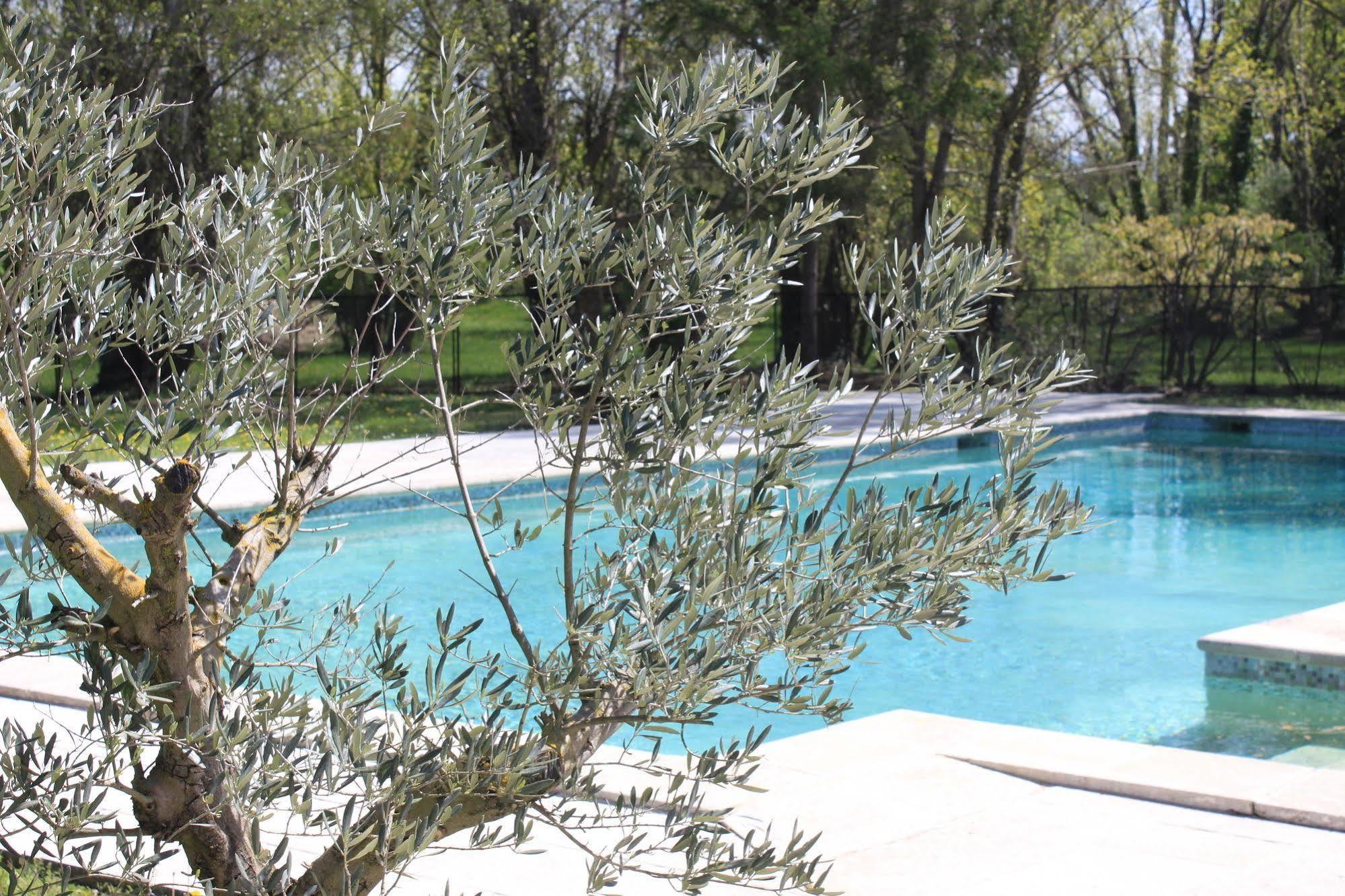 Hotel Mas De Cure Bourse LʼIsle-sur-la-Sorgue Екстериор снимка